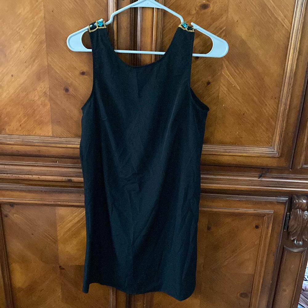 Tobi Embroidered Back Sleeveless Dress
